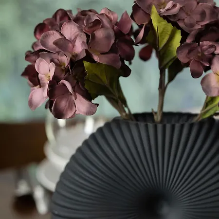 Air Conditioned In Center With Desk And Bathtub By Renters *